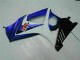 ABS Plástica Suzuki GSXR 1000 K7 07-08 - Azul ABS Plástica Suzuki GSXR 1000 K7 07-08 - Azul