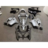 Carenado & Plástico Kawasaki ZX9R 02-03 - Plata Brillante Negro