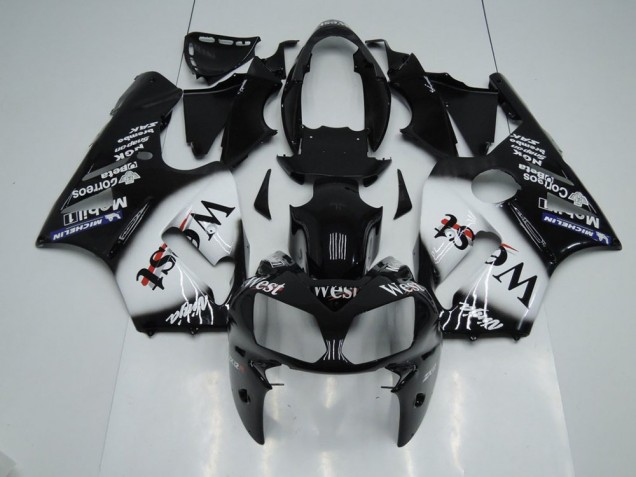 Kit Completo Carenado Kawasaki ZX12R 02-06 - West Kit Completo Carenado Kawasaki ZX12R 02-06 - West